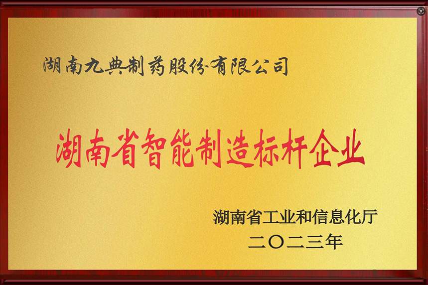 湖南省智能制造标杆企业